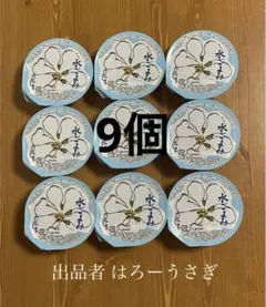 【六花亭】＊夏季限定＊水ごよみ （水羊羹）9個のサムネイル
