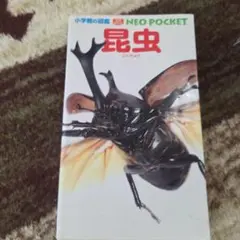 Item thumbnail for item 5c1ef30f-8089-426f-8b01-71ff5fd535d5