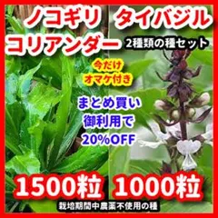 トミー1985様 リクエスト 4点 まとめ商品