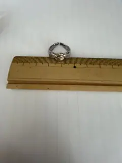 Item thumbnail for item f98005be-564a-479e-8124-0404e53e6780