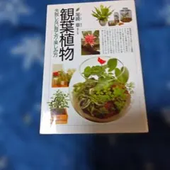 観葉植物 : 失敗しない育て方・楽しみ方