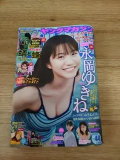 ヤングマガジン　NO44 永岡ゆきね　応募券なし