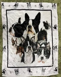 Item thumbnail for item 4fb42705-f80b-4d50-8dcd-ba7b41f0f557