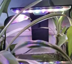 新品 送料込 水槽用 LEDライト アクアリウム テラリウム USB 照明 水草