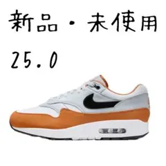 NIKE ナイキ エアマックス1 25cm モナーク