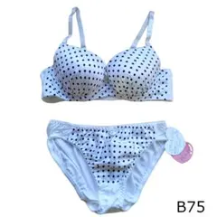 Item thumbnail for item ae9378d4-251d-4520-9590-723b084eb09f