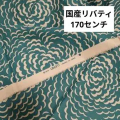 Item thumbnail for item 9648763f-bfd3-4381-87f4-cd82fd22ff2b