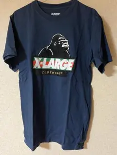 Item thumbnail for item 81c4d19d-4674-480e-8508-9506b6aca754