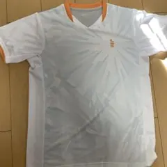 ゴーセン バドミントン