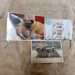 Item thumbnail for item b1c1d1d6-ccd2-44d9-bbf8-af6b321b1938