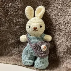 あみぐるみ　うさぎ　くま　バッグ　サロペット　着脱可能　セット
