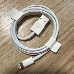 Apple Lightning - USBケーブル
