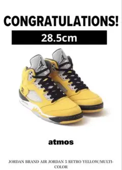 NikeAirJordan 5 Retro 