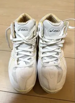 Item thumbnail for item cc50fc43-5103-4961-859b-dcc400f652ad