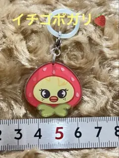 2026年最新】Skzoo ぬいぐるみ ポガリの人気アイテム - メルカリ