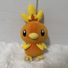 アチャモ　ぬいぐるみ