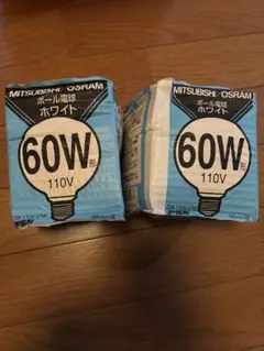 電球 蛍光灯・電球