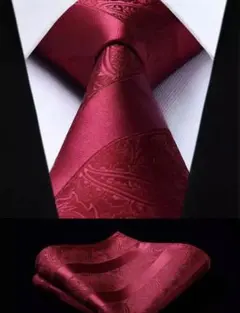 【2点セット】ネクタイペイズリーストライプ結婚式前撮り成人式赤レッド
