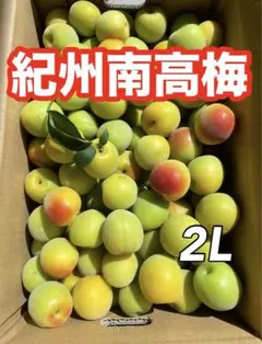 和歌山県産　紀州南高梅　2L3L混合　10キロ 和歌山県産 紀州南高梅 2L3L混合 5キロ - メルカリ
