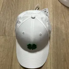 Item thumbnail for item 7e86bece-da1b-4625-8848-6f8df121376a