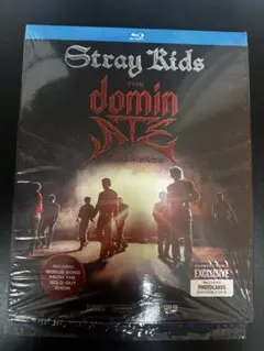 Stray Kids 非売品B2ポスター - メルカリ Stray Kids スキズ非売品B2ポスター