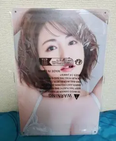 【新品未開封】長澤まさみ ブリキ看板 グラビア レア セクシー