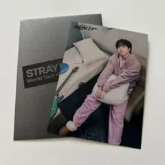 ハン RUN IT JAPAN ラントレ コンプ 10枚 スキズ コンプリート Stray