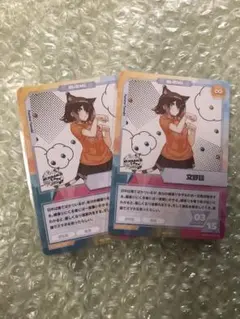 にじさんじフェス 2022 コレクションカード 文野環