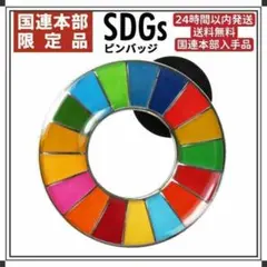 【大セール】SDGs ピンバッチ 国連本部正規品　1点