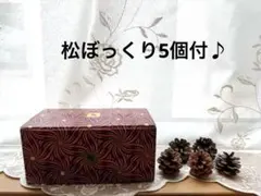 【新品】Nespresso ガラスオーナメント 飾り2個 松ぼっくり5個付