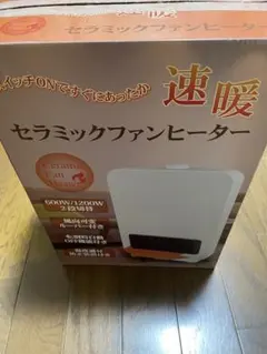 Item thumbnail for item 1fd0212b-0cb1-45b7-b809-672fc607e6de