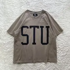 00s old STUSSY メキシコ製 ブラック フェルトロゴ Tシャツ 短丈