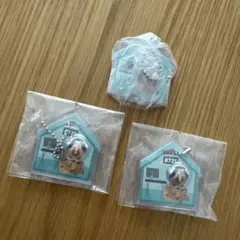 BT21 シューキー キーホルダー 3個セット