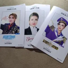 宝塚歌劇団新人公演パンフレット3冊セット
