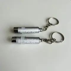 2025年最新】reunion ペンライトの人気アイテム - メルカリ