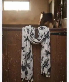 Item thumbnail for item 22e4c0e4-6b25-41d5-89df-d3a11897016c