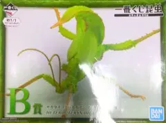 一番くじ 昆虫 世界の昆虫博物館 B賞 サカダチコノハナナフシ フィギュアのサムネイル