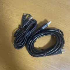 USBケーブル 2本セット ブラック