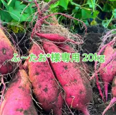 2026年最新】さつまいも 紅はるか 20kgの人気アイテム - メルカリ