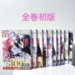 全て初版帯付き未開封新品 氷の城壁 12、13巻セット - メルカリ