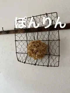 作家物 インテリア雑貨 たまご ハンガー 吊り下げディスプレイ ネット 作家物 インテリア雑貨 たまご ハンガー 吊り下げディスプレイ ネット