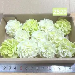 ソラフラワー　2520