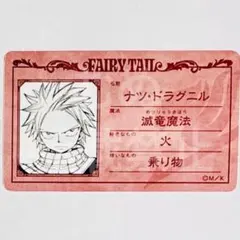 フェアリーテイル　メディコス　プロフィールカード ナツ