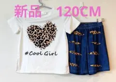 新品　レオパード柄Tシャツとデニム風ショートパンツセット