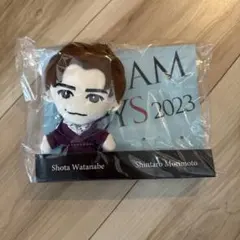 渡辺翔太 DREAMBOYS ぬい　ドリボ