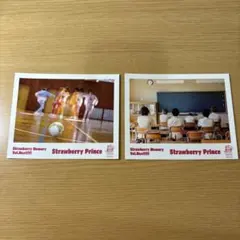 すとぷり ポストカード 2枚セット Vol.Next!!!!