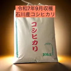 2026年最新】コシヒカリの人気アイテム - メルカリ
