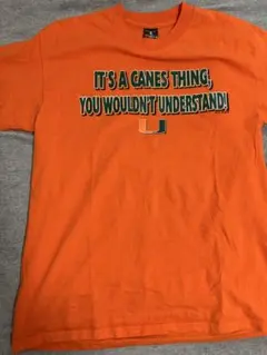 Item thumbnail for item 3f24d877-7db6-40b5-8d0c-e23b0d5f7386