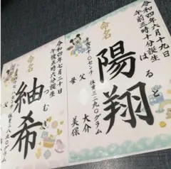 ラミネート加工付きディズニー命名書 82