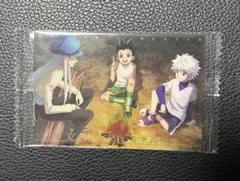 新品未使用⭐︎HUNTER×HUNTERカード ゴン キルア カイト